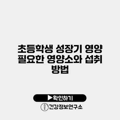 초등학생 성장기 영양 필요한 영양소와 섭취 방법