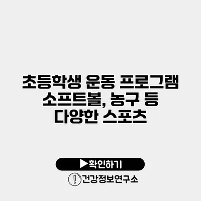 초등학생 운동 프로그램 소프트볼, 농구 등 다양한 스포츠