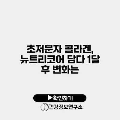 초저분자 콜라겐, 뉴트리코어 담다 1달 후 변화는?