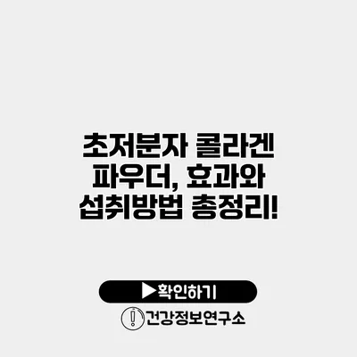 초저분자 콜라겐 파우더, 효과와 섭취방법 총정리!