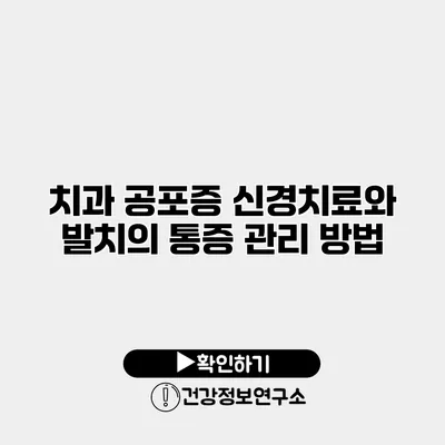 치과 공포증? 신경치료와 발치의 통증 관리 방법