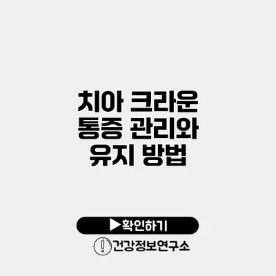 치아 크라운 통증 관리와 유지 방법