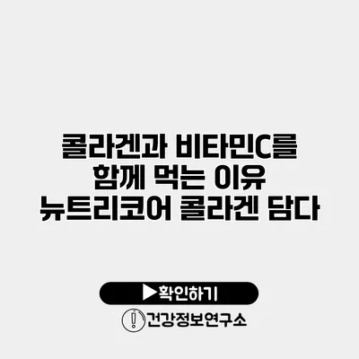 콜라겐과 비타민C를 함께 먹는 이유 뉴트리코어 콜라겐 담다