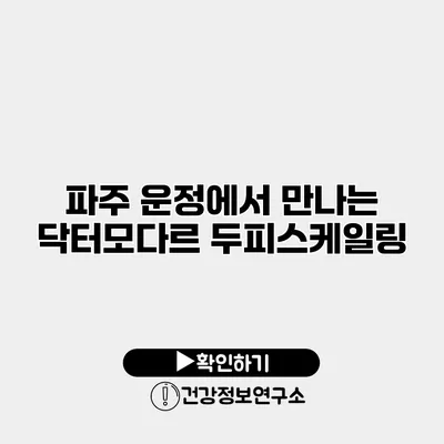 파주 운정에서 만나는 닥터모다르 두피스케일링