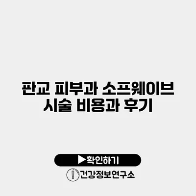 판교 피부과 소프웨이브 시술 비용과 후기