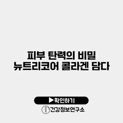 피부 탄력의 비밀 뉴트리코어 콜라겐 담다