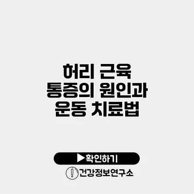 허리 근육 통증의 원인과 운동 치료법