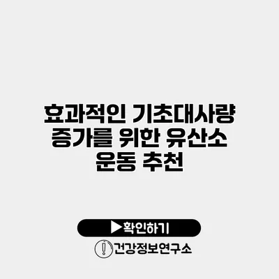 효과적인 기초대사량 증가를 위한 유산소 운동 추천