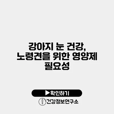 강아지 눈 건강, 노령견을 위한 영양제 필요성