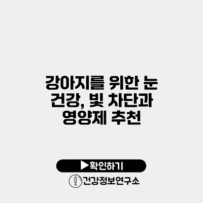 강아지를 위한 눈 건강, 빛 차단과 영양제 추천