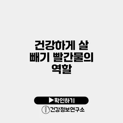 건강하게 살 빼기 빨간물의 역할