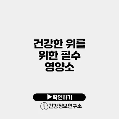 건강한 위를 위한 필수 영양소