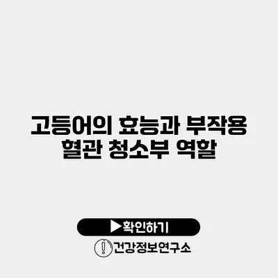 고등어의 효능과 부작용 혈관 청소부 역할