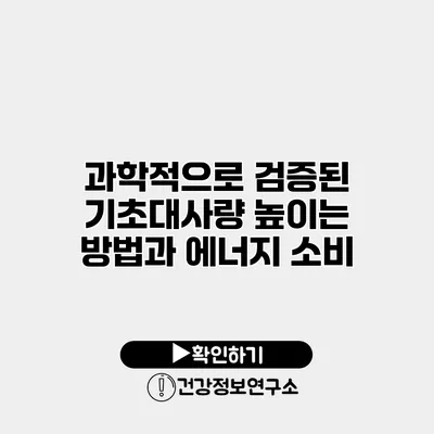 과학적으로 검증된 기초대사량 높이는 방법과 에너지 소비
