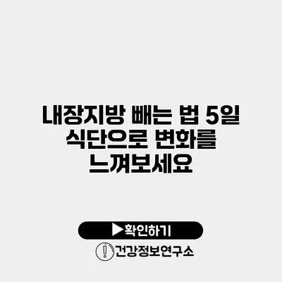 내장지방 빼는 법 5일 식단으로 변화를 느껴보세요