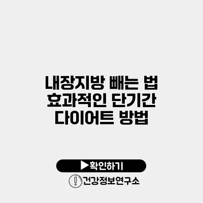 내장지방 빼는 법 효과적인 단기간 다이어트 방법