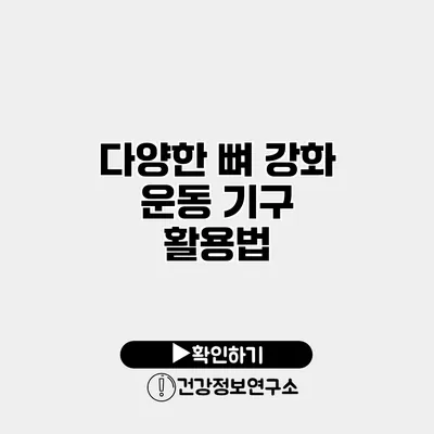 다양한 뼈 강화 운동 기구 활용법