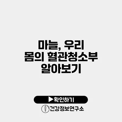 마늘, 우리 몸의 혈관청소부 알아보기