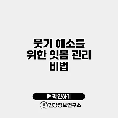 붓기 해소를 위한 잇몸 관리 비법