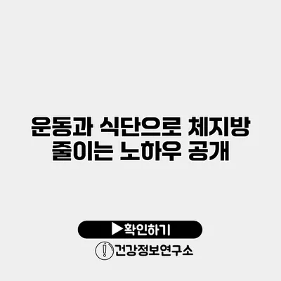운동과 식단으로 체지방 줄이는 노하우 공개