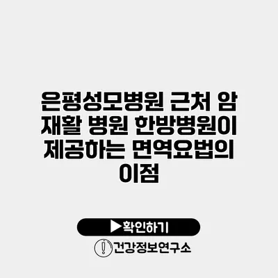 은평성모병원 근처 암 재활 병원 한방병원이 제공하는 면역요법의 이점