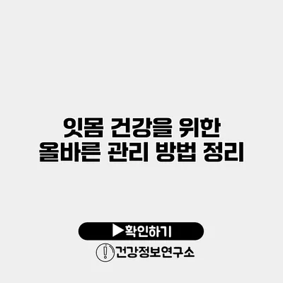 잇몸 건강을 위한 올바른 관리 방법 정리