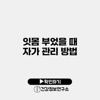 잇몸 부었을 때 자가 관리 방법