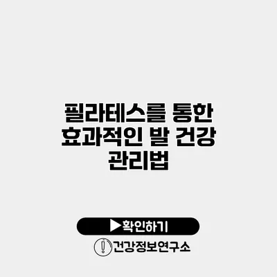 필라테스를 통한 효과적인 발 건강 관리법