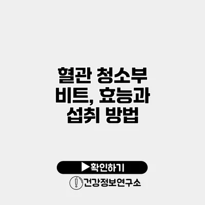 혈관 청소부 비트, 효능과 섭취 방법