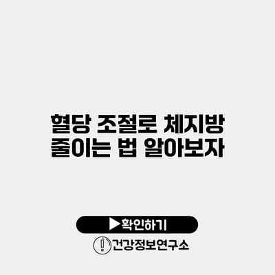 혈당 조절로 체지방 줄이는 법 알아보자